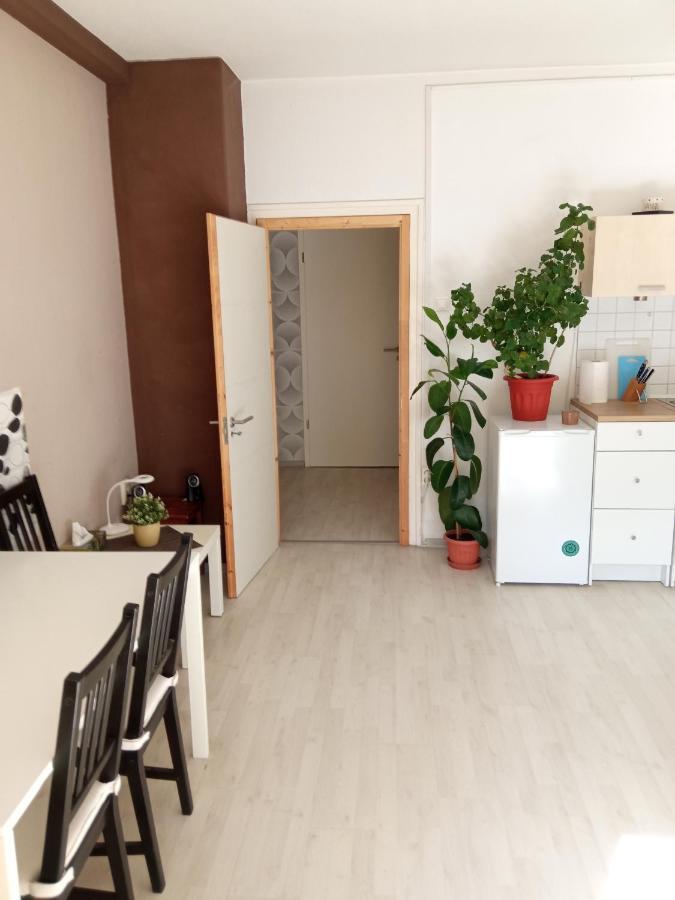 Free Parking, Balcony, Near To City Park Budapest Exterior foto