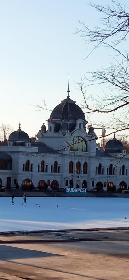 Free Parking, Balcony, Near To City Park Budapest Exterior foto